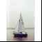 Other  Sailfish 18, Maxim Marine (GB) Picture 3 